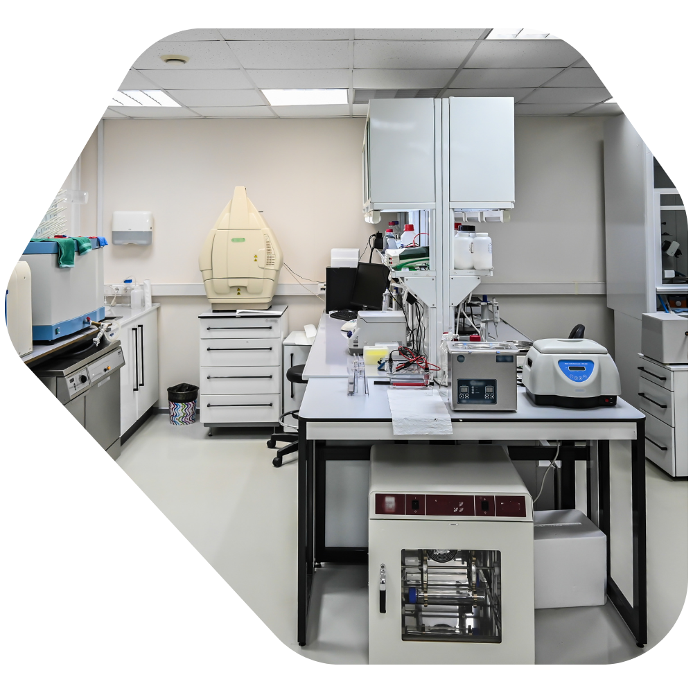 Diseño sin título - 2025-10-31T140313.230