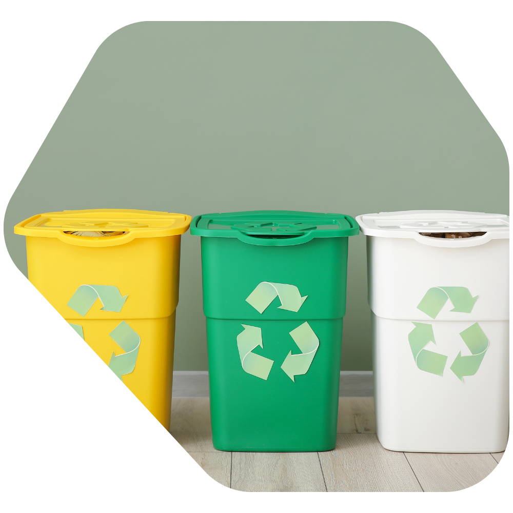 Diseño sin título (38)